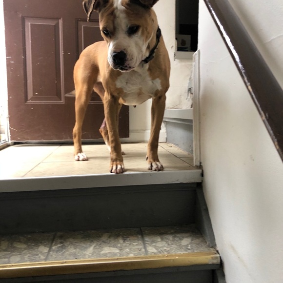 Meet your Posher, Patrick - Picture 1 of 1